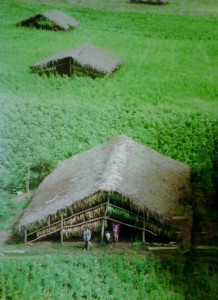 Drying and Ageing sheds